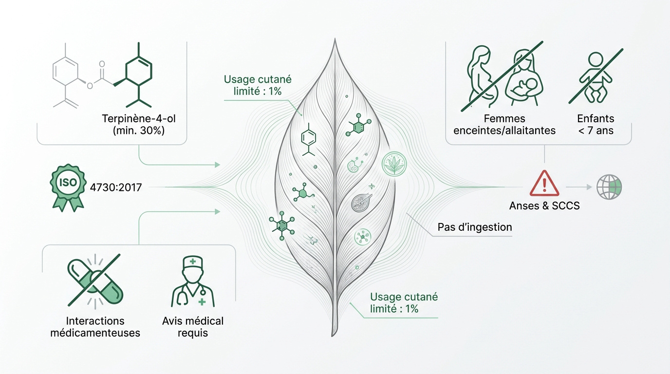 Infographie sur les propriétés et usages de l'huile essentielle de tea tree